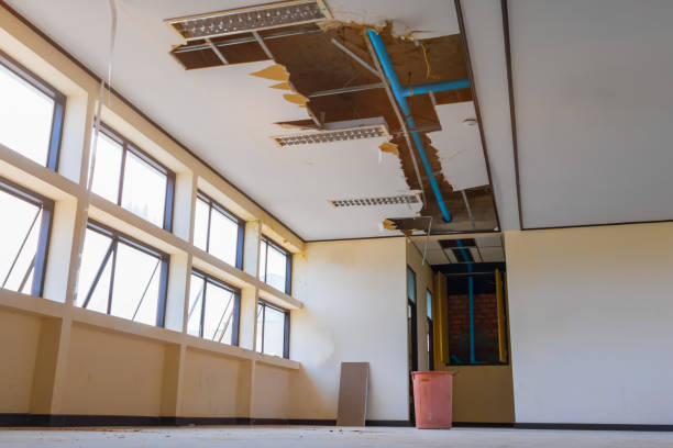 Best Sewage cleanup and water damage restoration  in Hilliard, FL