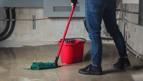 Best 24-hour water damage restoration  in Hilliard, FL