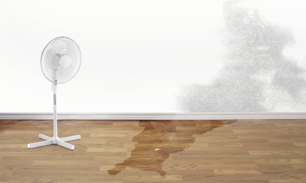 Best Local water damage restoration  in Hilliard, FL